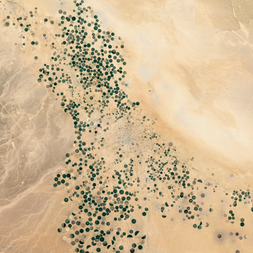 3.5. Desert Agriculture- Saudi Arabia 